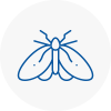 Moth Control Specialists In Christchurch